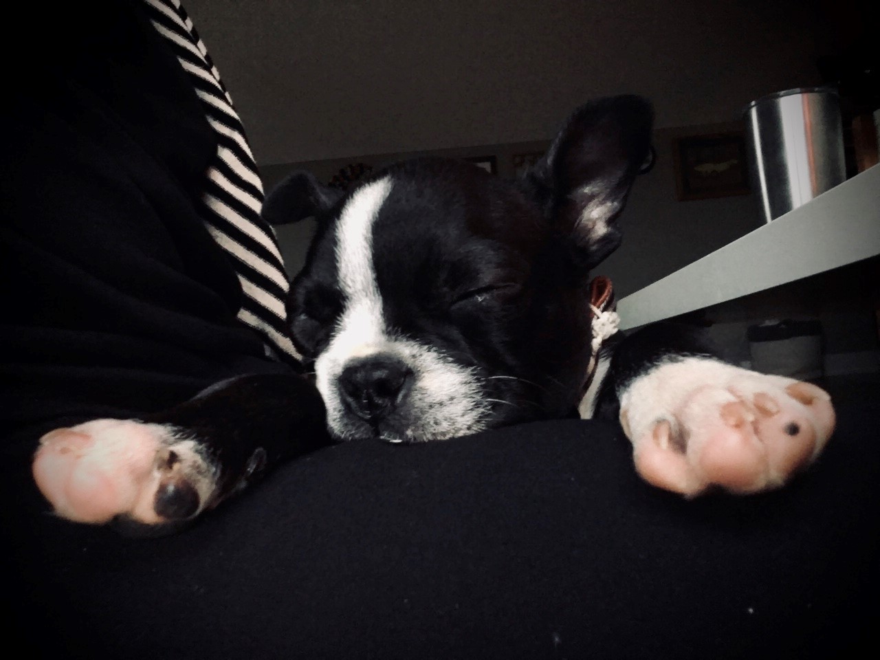 nap time